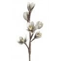 Eurofirany KW / FLORE / 519 / SRE 70X26 Silver (X6) Eurofirany KW / FLORE / 519 / SRE 70X26 Silver (X6)