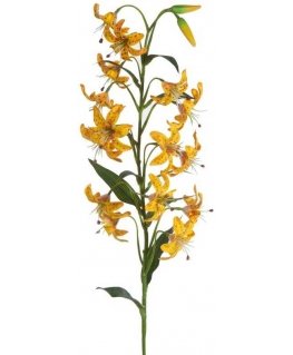 Eurofirany KW/NATU/383/YELLOW YELLOW