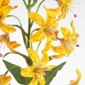 Eurofirany KW/NATU/383/YELLOW YELLOW Eurofirany KW/NATU/383/YELLOW YELLOW