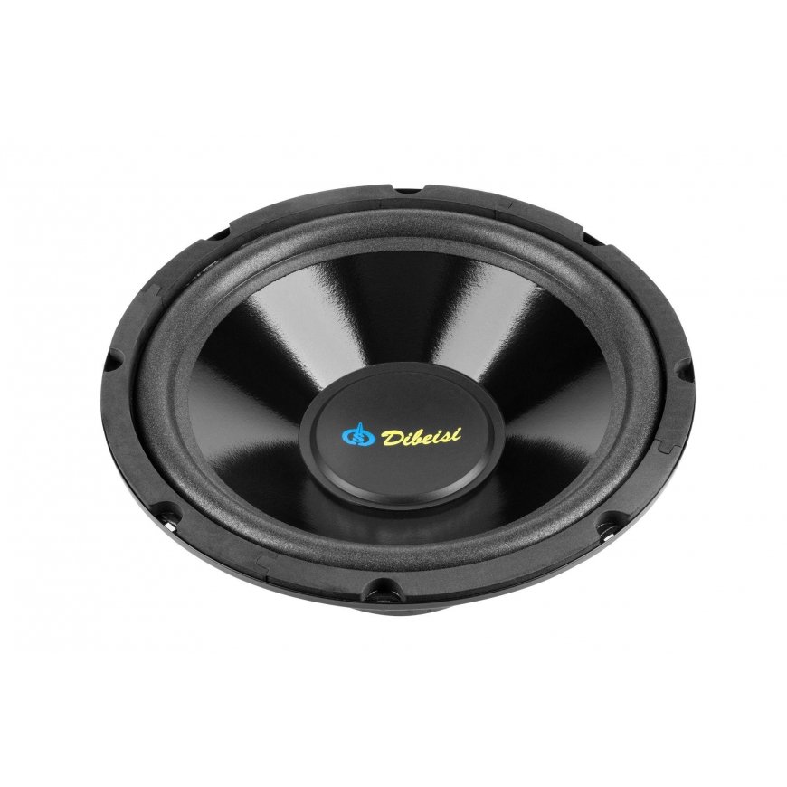 Dibeisi Loudspeaker 10" DBS-G1002 8 ohms