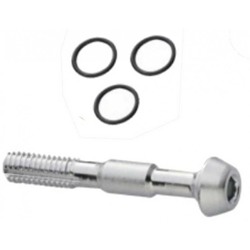 Levyjarruletkun kiinnikkeet ProX Shimano Bonjolle+Long ruuvi – 2