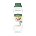 Indola Prot Color Treatment 250 2 24 Indola Prot Color Treatment 250 2 24