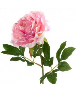 Eurofirany KW / NATU / 265 / PINK PINK