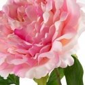 Eurofirany KW / NATU / 265 / PINK PINK Eurofirany KW / NATU / 265 / PINK PINK