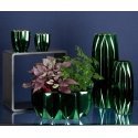Eurofirany CS / NEGRO / ŚW / 01 12X12X12 Žalias Eurofirany CS / NEGRO / ŚW / 01 12X12X12 Žalias