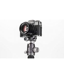 Benro Benro head VX20 + PU50X head