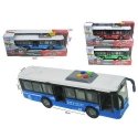 Hippo Bus 26cm w/dw HAU14 45826 Hippo Bus 26cm w/dw HAU14 45826