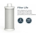 WaterH PureSip Adapt filtras, 3 vnt.