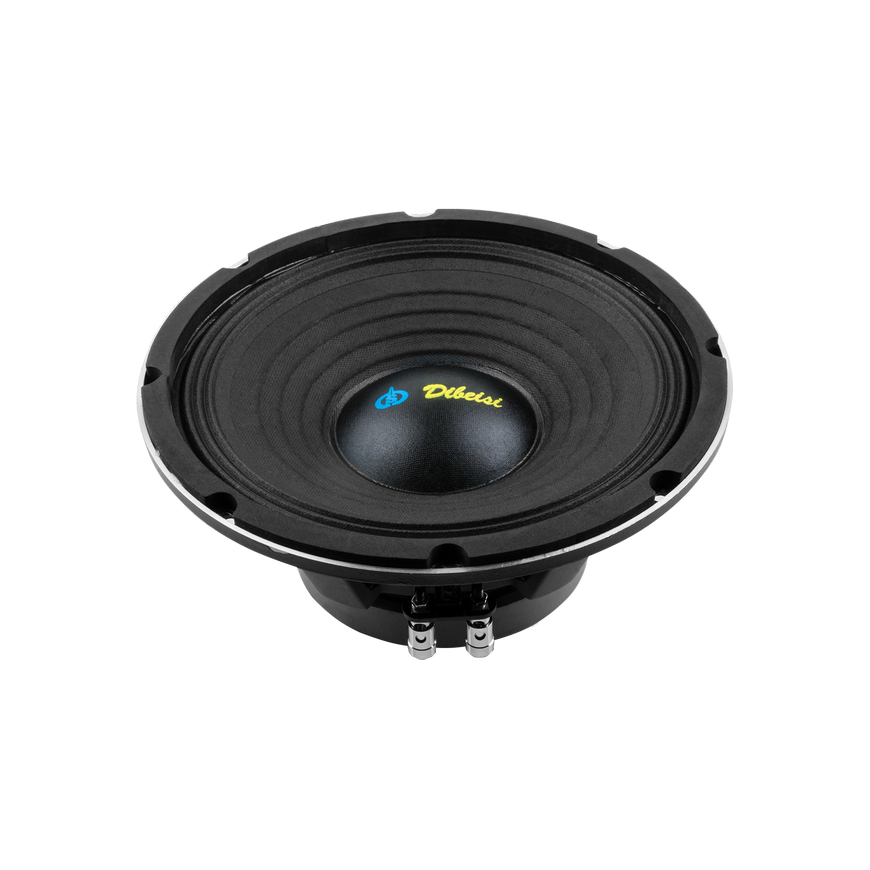 Dibeisi 10 inch speaker DBS-PS1005-8