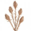 Eurofirany KW/FLORE/721/RZ ROSE GOLD Eurofirany KW/FLORE/721/RZ ROSE GOLD