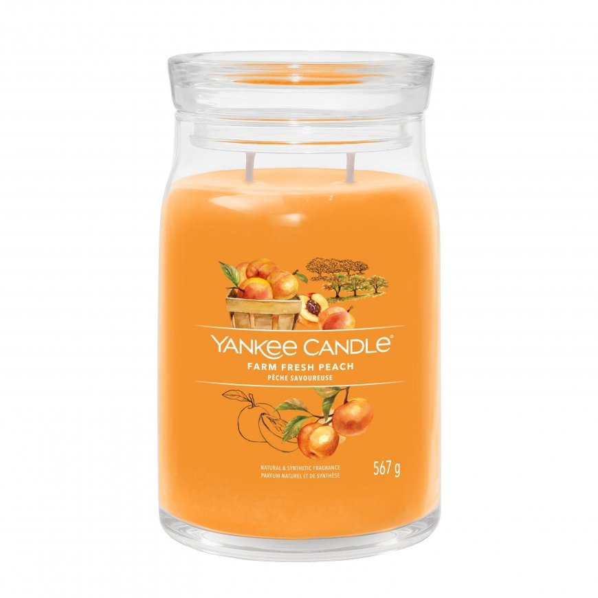 Yankee Candle Signature wax candle Cylinder Apricot, Peach, Vanilla Orange 1 pc(s)