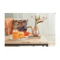 Yankee Candle Signature vaska svece Cilindrs Aprikoze, Persiks, Vaniļa Oranžs 1 pcs Yankee Candle Signature vaska svece Cilindrs Aprikoze, Persiks, Vaniļa Oranžs 1 pcs