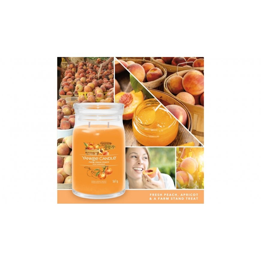 Yankee Candle Signature vahaküünal Silinder Aprikoos, Virsik, Vanilje Oranž 1 tk – 3