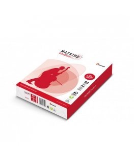 Paperi Xero Igepa Maestro Stadard Plus luokka B 94918A80 (A4 80g/m2 500 kpl arkkia valkoinen paperi, matta, sileä molemmilta puo