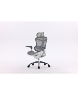 Sihoo Doro C300 ergonomic office chair, white