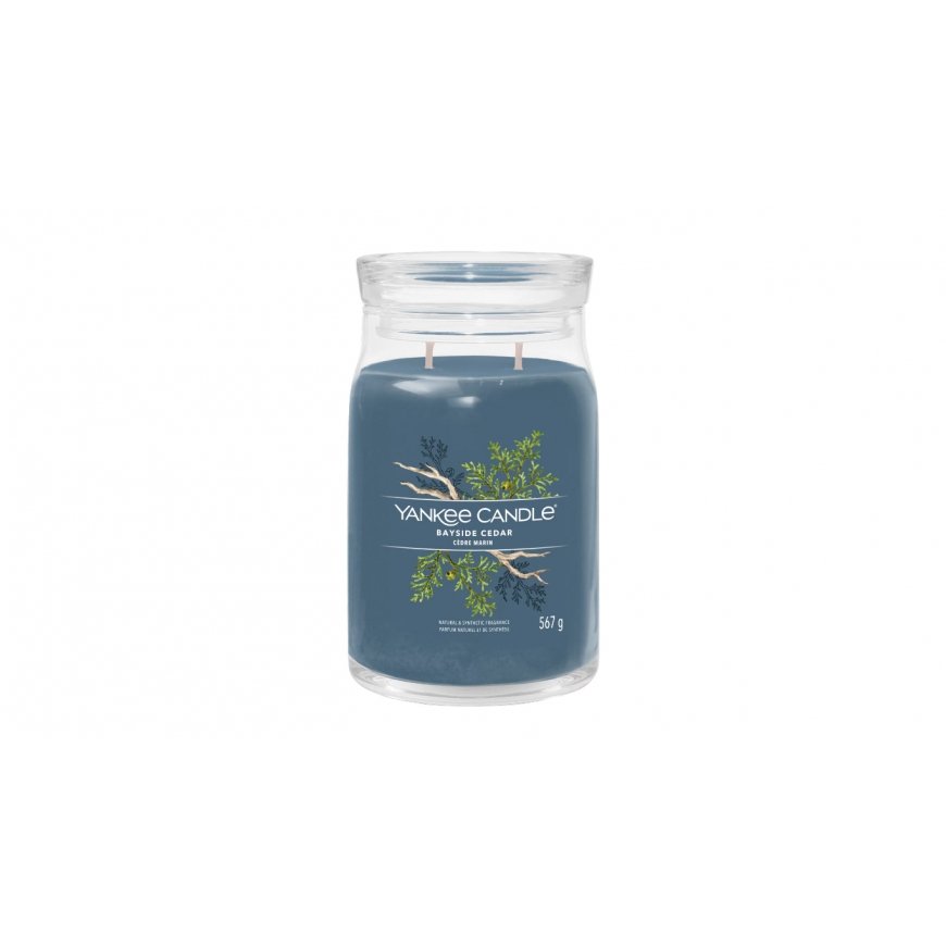 Yankee Candle Bayside Cedar vaska svece Cilindrs Svaigs Zils 1 pcs