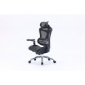 Sihoo Doro C300 ergonomic office chair, black