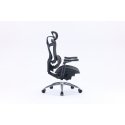 Sihoo Doro C300 ergonomic office chair, black