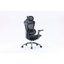 Sihoo Doro C300 ergonomic office chair, black