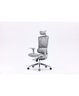 Sihoo M90C ergonomic office chair, gray