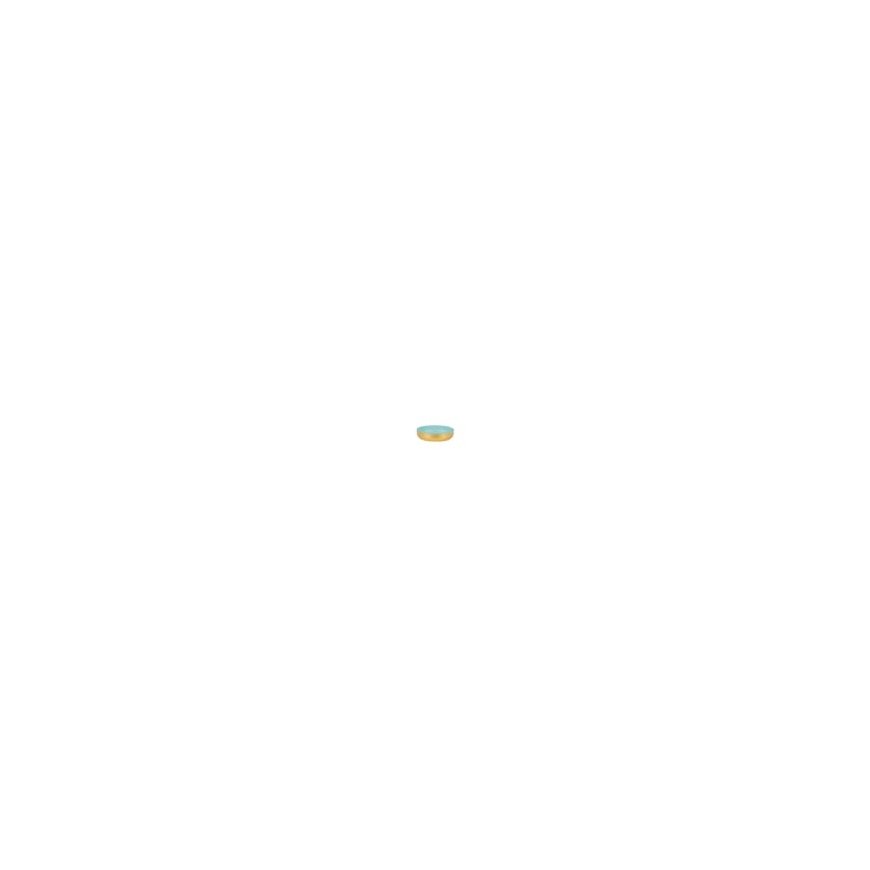 Myhome Decorative paste Soft Gold Mint 16 x 16 x 3.5 cm MY HOME – 2
