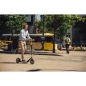 GLOBBER scooter One NL230 Ultimum, titanium / gray, 479-102