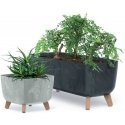 Prosperplast GRACIA SQUARE BETONINIS EFEKTO GĖLIŲ vazonas 24x24cm Prosperplast GRACIA SQUARE BETONINIS EFEKTO GĖLIŲ vazonas 24x24cm