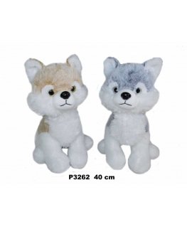 Sun Day Pies P-3262 Husky 40cm 2kol 162960