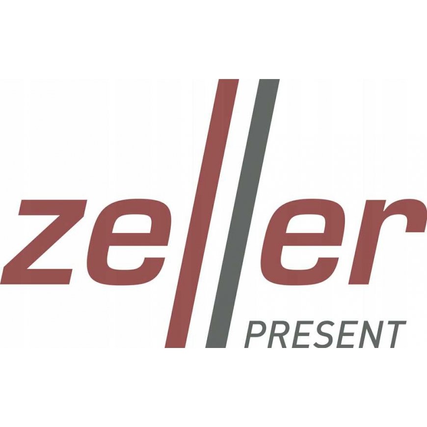 Zeller drainage stand 45.5 x 35 x 13.5 cm plastic / chrome-plated metal Grey – 3