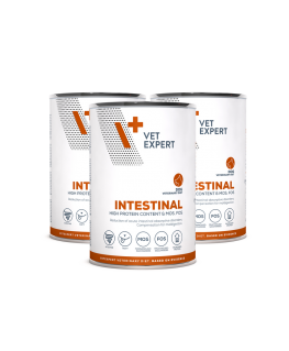 VET EXPERT Veterinary Diet Intestinal Dog - märkäruoka koirille - 400g