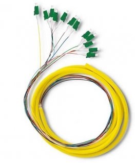 Qoltec 12 x LC/APC fiber optic patch cord | Singlemode | G652D | 2 m