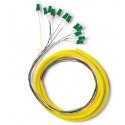 Qoltec 12 x LC/APC fiber optic patch cord | Singlemode | G652D | 2 m Qoltec 12 x LC/APC fiber optic patch cord | Singlemode | G652D | 2 m