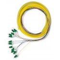 Qoltec 12 x LC/APC fiber optic patch cord | Singlemode | G652D | 2 m Qoltec 12 x LC/APC fiber optic patch cord | Singlemode | G652D | 2 m