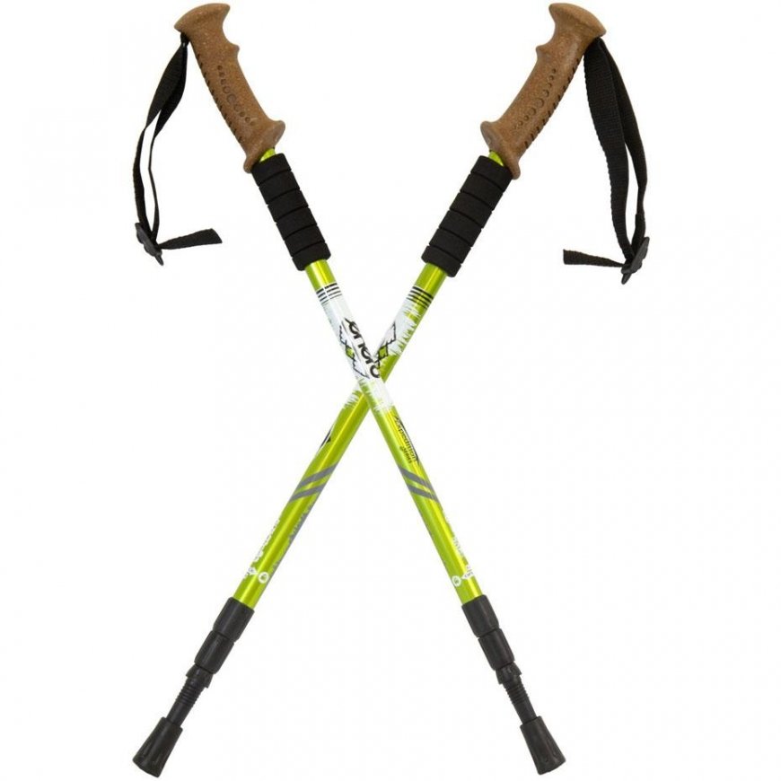 Enero walking sticks and bag