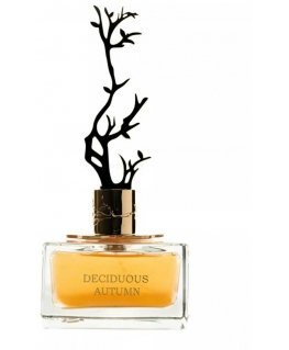 Aurora Scents Deciduous Autumn - EDP 100 ml + EDP 8 ml