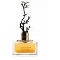 Aurora Scents Deciduous Autumn - EDP 100 ml + EDP 8 ml Aurora Scents Deciduous Autumn - EDP 100 ml + EDP 8 ml