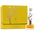 Aurora Scents Deciduous Autumn - EDP 100 ml + EDP 8 ml Aurora Scents Deciduous Autumn - EDP 100 ml + EDP 8 ml