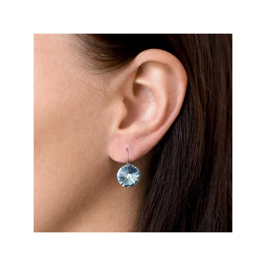 Evolution Group hopeiset korvakorut Swarovskin kristalleilla 31106.1 – 2