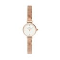 Daniel Wellington Petite Mini 19 Melrose RG White Watch DW00100744 Daniel Wellington Petite Mini 19 Melrose RG White Watch DW00100744