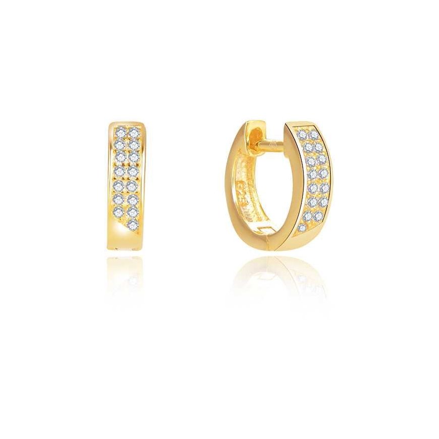 Beneto Timeless auksiniu dengti auskarai AGUC2609-GOLD