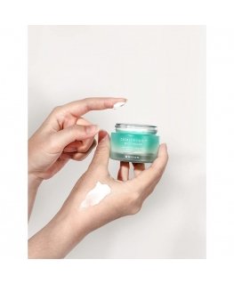 Mizon Cicaluronic Moisturizer (for dry and sensitive skin) – moisturizing skin cream