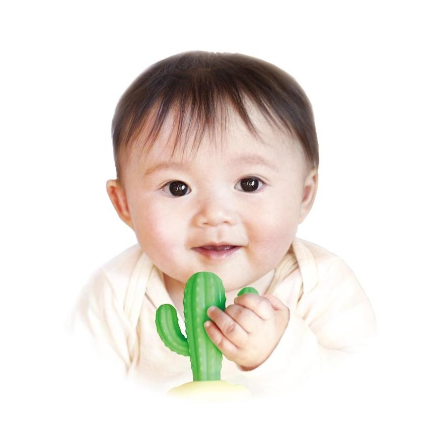 Teether for babies EDISONmama "Cactus", from 3 months, KJ4263 – 2