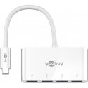 Goobay 66274 dokstacija Vadu USB 3.2 Gen 1 (3.1 Gen 1) Type-C Balts