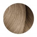 plaukų dažai L'oreal Professionnel Dia Light Gel-Creme Acide Sans Ammoniaque 9,01 50ml plaukų dažai L'oreal Professionnel Dia Light Gel-Creme Acide Sans Ammoniaque 9,01 50ml