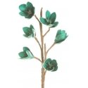 Euroverhot KW / FLORE / 519 / CT 76X26 C.TURK (X6)