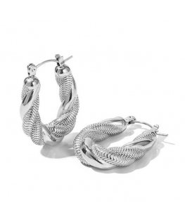 Troli Luxury steel hoop earrings VAAJDE202010S