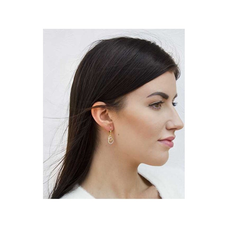 Beneto Stylish gold-plated earrings with zircons AGUC2707-RHG – 2