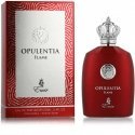 Emir Opulentia Flame 100ml hajuvesi miehille EDP Emir Opulentia Flame 100ml hajuvesi miehille EDP