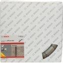Bosch 2 608 603 243 полотно для циркулярных пил 23 cm 10 шт Bosch 2 608 603 243 полотно для циркулярных пил 23 cm 10 шт