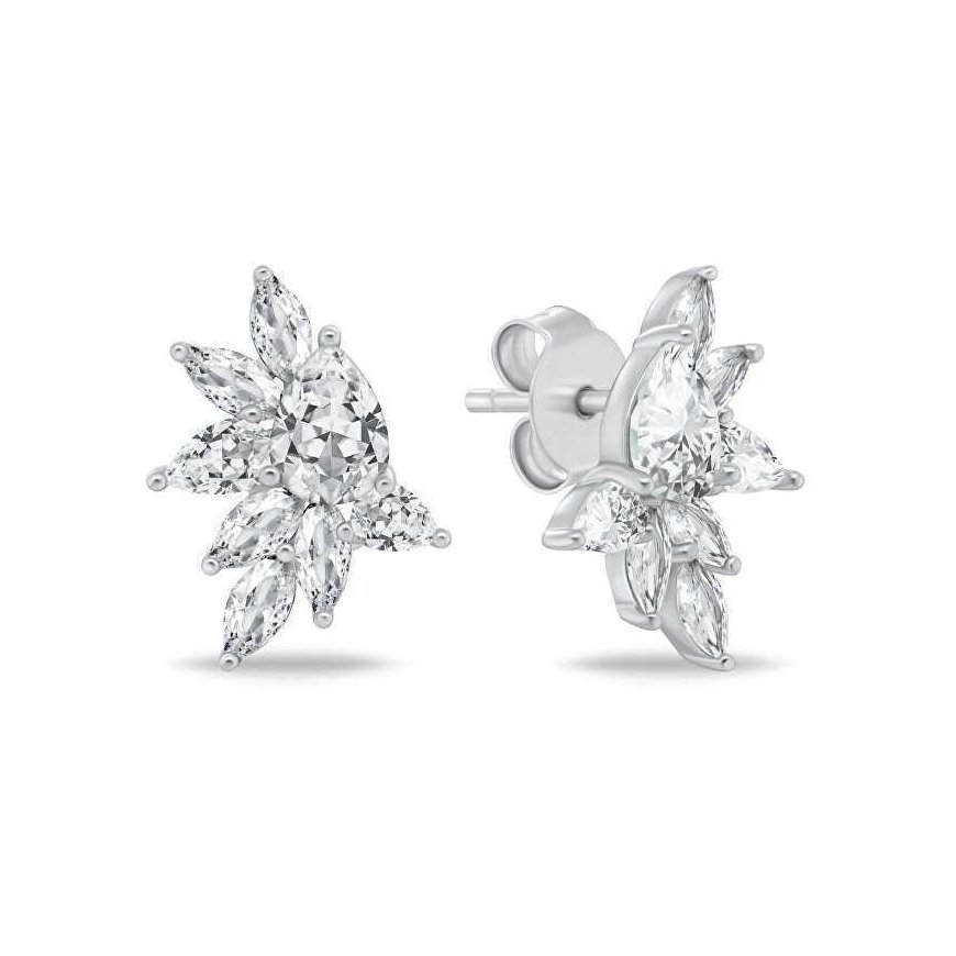 Brilio Silver Charming silver earrings with zircons EA1165W